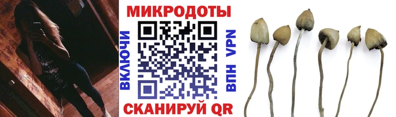 наркошоп  Североуральск  Псилоцибиновые грибы Magic Shrooms 