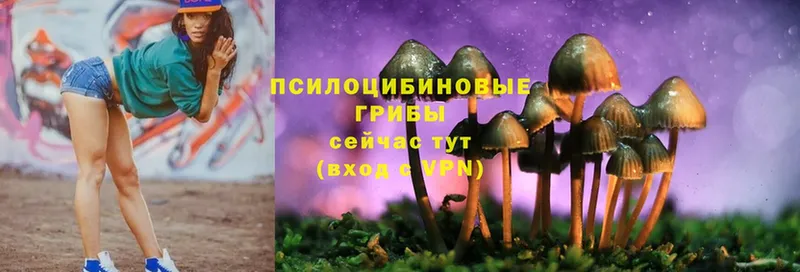 продажа наркотиков  Североуральск  KRAKEN зеркало  Псилоцибиновые грибы Psilocybe 