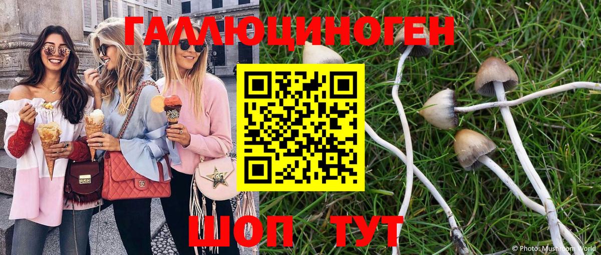 Галлюциногенные грибы прущие грибы Североуральск